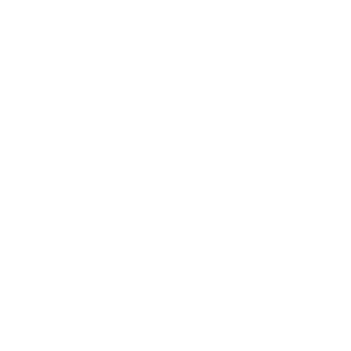 Raíces Digital