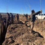Estudiantes agropecuarios realizan sus prácticas forestales junto a FOMICRUZ