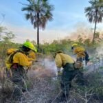 Incendio forestal arrasa miles de hectáreas en la frontera de Bolivia y Paraguay