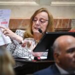 Alicia logró el tratamiento del proyecto que protege los subsidios de tarifas de gas